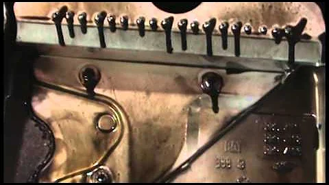 Schaeffer Mfg. Million Mile Diesel Engine Teardown