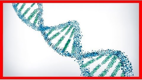 Dna could store all of the world