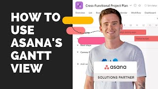 How to use Asana&#39;s Gantt View