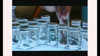 Subatomic Particles