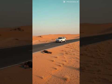 رجل كبير فالسن تاه في صحراء قاحلة حتى اتاه الفرج