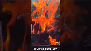 Şu Yaşamak Bizi Öldürüyor🔥