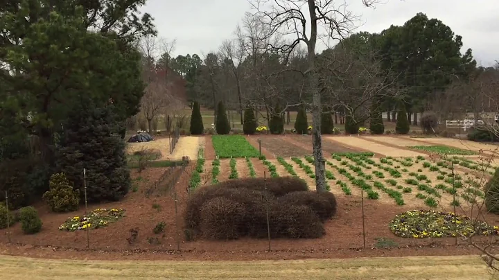 Ron Reimer Garden