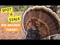 Texas RIO GRANDE Turkey Hunt {SPOT &amp; STALK} | Almost Two Birds In One Day