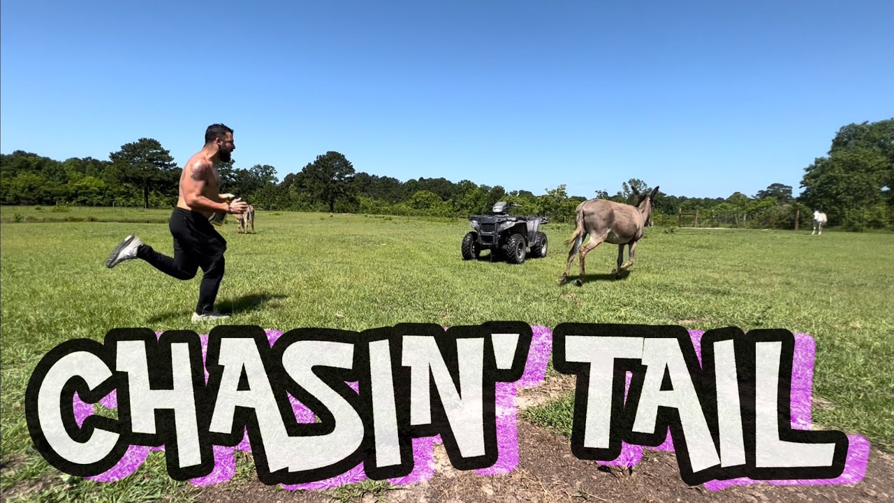 CHASING TAIL YouTube