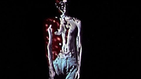 Vivisector, Part 2 – Klaus Obermaier, Chris Haring