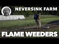 Flame Weeders. The best tool to fight weeds.