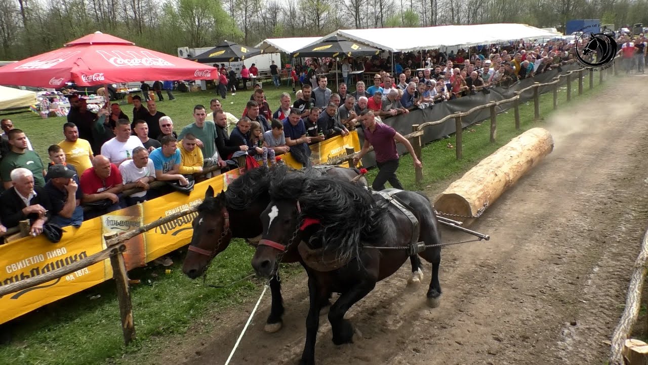 - SMOKI I KIKO PREORALI TRNOPOLJE ZA 22 s I POSTALI ŠAMPIONI LAKE -