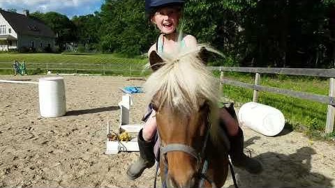 Clicker Trained Riding