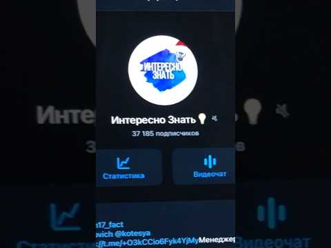 Сколько я заработал на Telegram канале за месяц?