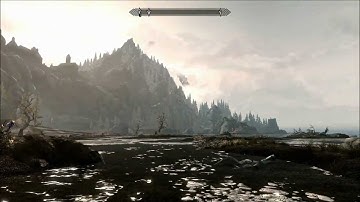 The Elder Scrolls V Skyrim Graphical Glitches
