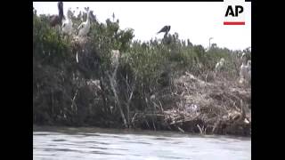 An Associated Press reporter takes a look at the Gulf oil spill's impact on the environment during a