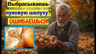 ЛУКОВАЯ ШЕЛУХА творит чудеса на огороде! Я ПРОСТО рассыпал шелуху — и земля ожила!