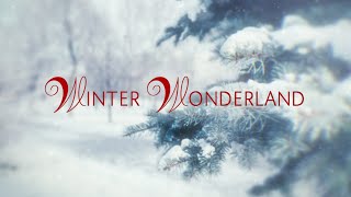 Winter Wonderland - Cat Jahnke