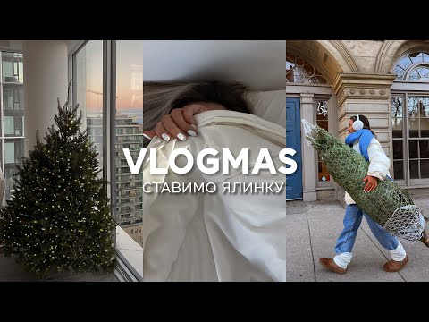 наряджаємо ялинку! || різдвяний затишний vlogmas.