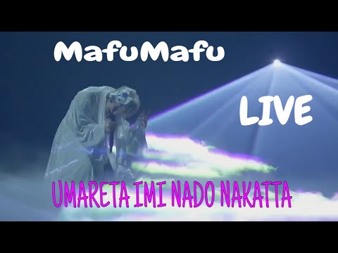 Mafumafu - Umareta imi nado nakatta ( Tokyo Dome LIVE 2021 )