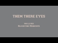 Them there eyes billie holiday ella fitzgerald  guitar cover jazz manouche