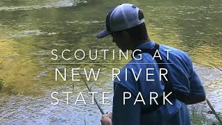 Scouting at New River State Park