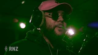 SWIDT - No Emotions In The Wild  (Live On RNZ)