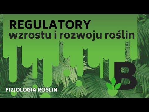 Wideo: Regulatory Wzrostu Roślin