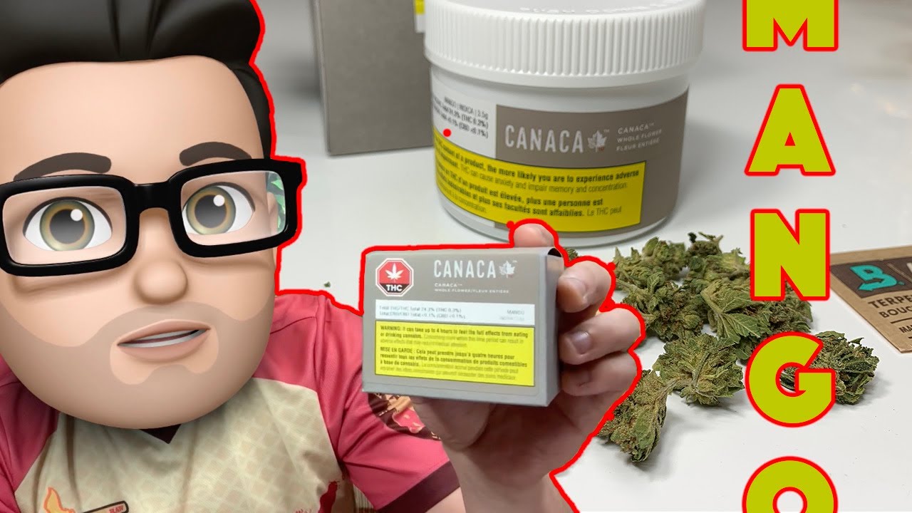 MANGO strain by CANACA Reviewed YouTube