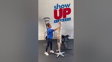 Top 5 Overactive Muscles You Should Know If You Want To Pass NASM ✅