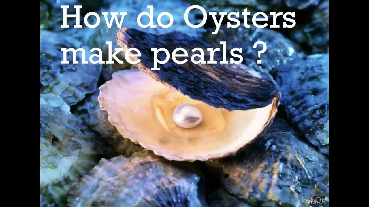 How Do Oysters Make Pearls?