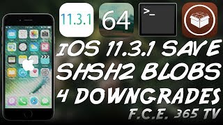Download Ios 11.3.1 - How To Save Your Shsh2 Blobs For Downgrades / Upgrades Video MP3 Ios 11.3.1 - How To Save Your Shsh2 Blobs For Downgrades / Upgrades