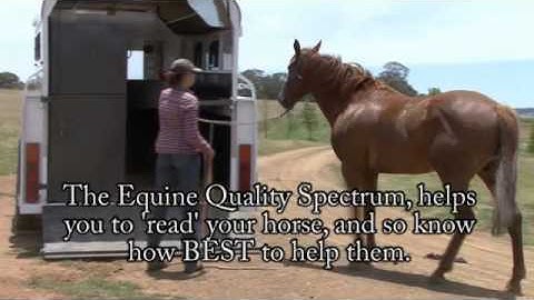 International Horsemans Institute - Float Loading Part 1 by Tony Lander - IHI