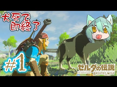 ゼルダbotw 料理 上チキンピラフ のレシピ 効果 能力 入手方法 ブレスオブザワイルド 攻略大百科