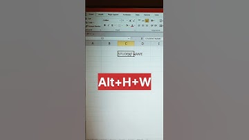 wrap text shortcut key | #wrap #excel #shorts #tricks