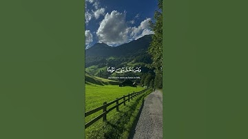 سورة نوح(٢٦-٢٨)🤍