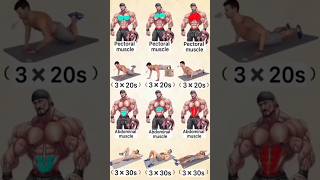 pectoral muscle Abdominal muscle fitness sixpack exercise fatloss at home