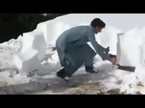 Snowfall in Galiyat/ Snow Leopard  Hunting ! Winter