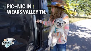 TWO OF OUR FAVORITES IN WEARS VALLEY TN. Catfish & General Stores!