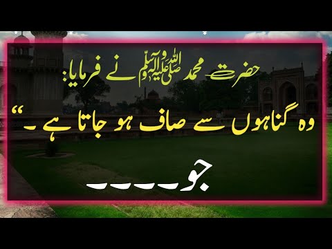 HAZRAT Muhammadﷺ Said || Hadees Sharif || Hadith of the day || Hadees in Urdu