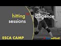 Last Call to ESCA Camp