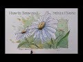 How to paint a flower line and wash daisy easy to follow real time peter sheeler