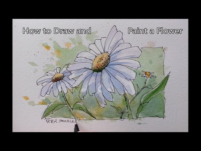 How to paint a Flower. Line and Wash Daisy. Easy to follow. Real Time. Peter Sheeler