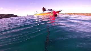 Broughton island spearfishing 2022