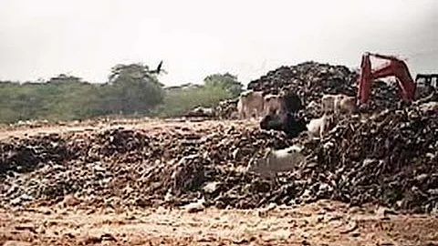 Citizens' voice: Gurgaon's waste treatment plant goes waste