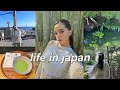 Japan vlog   visiting kamakura bamboo cafe unboxing blind boxes ghibli museum