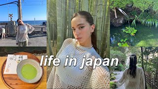 japan vlog  | visiting kamakura, bamboo cafe, unboxing blind boxes, ghibli museum