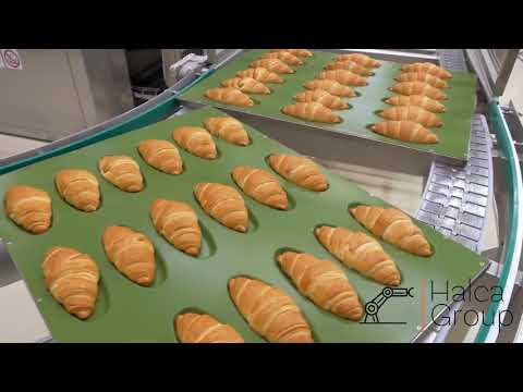 კრუასანების დამამზადებელი დანადგარი • Croissant Making Machine