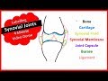 Understanding Synovial Joints