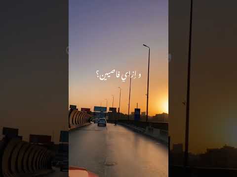 هو احنا فيه ايه مشوارنا ده ليه