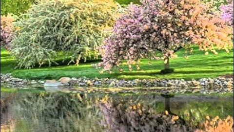 Thumbnail of kimyoungdong-chowon [김영동-초원]