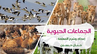 الصف السادس ( المنهاج الجديد ) : الجماعات الحيوية