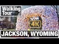 4K City Walks:  Jackson, Wyoming Virtual Treadmill Walking Tour