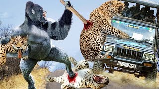 The Price Is Too Expensive! Anger Baboon Attack Leopard To Protect The Baby In The Face Of Disasters